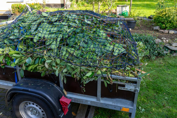Westminster, CO Junk Removal Services Company